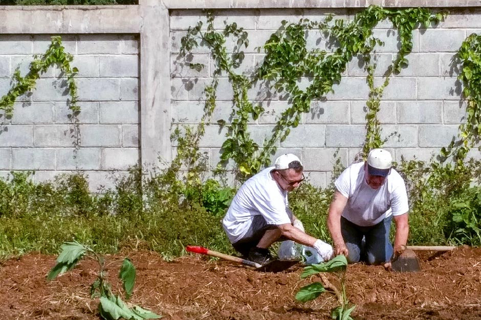 Two male volunteers working in a field